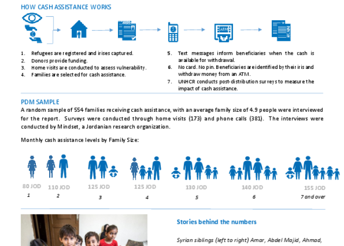 Syrian Cash Assistance Post Distribution Monitoring 1st Quarter 2017  PDF file screenshot