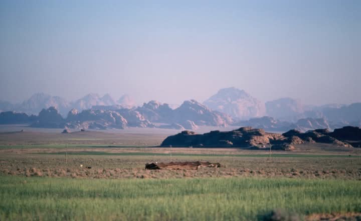 الهجره المناخيه