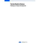 Human Development Report 2010
The Real Wealth of Nations: Pathways to Human Development PDF file screenshot