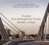 Disaster Risk Management Profile PDF file screenshot