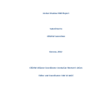 Jordan Shadow NGO Report PDF file screenshot