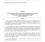 Expert Group Meeting on the Regional Study on Identification of Legislation Gaps for the Full Implementation of Security Council Resolution 1325 (2000) in the Arab Region PDF file screenshot