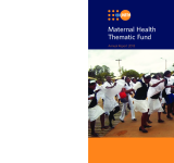 Maternal Health Thematic Fund: Annual Report 2013 PDF file screenshot