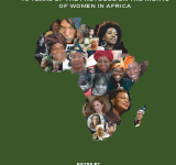 Journey to Equality: 10 Years of the Protocol on the Rights of Women in Africa PDF file screenshot