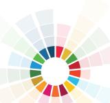 SDG Index and Dashboards Report 2017 Global Responsibilities: International Spillovers in Achieving the Goals PDF file screenshot