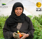 الجندر والمناخ والترابط تبيان الصلات بين تغير المناخ والأمن البشري والجندر في الاردن
