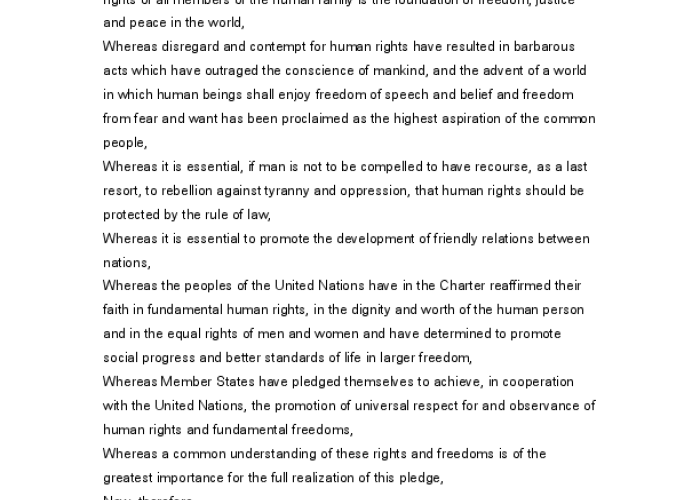 The Universal Decleration of Human Rights PDF file screenshot