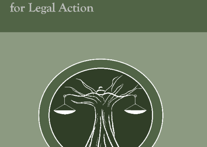 A Guide to Using the Protocol on the Rights of Women in Africa for Legal Action PDF file screenshot
