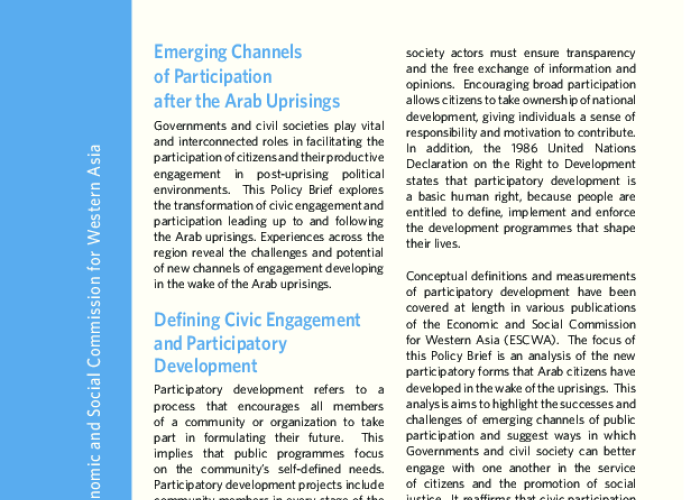 Emerging Channels of Public Participation after the Arab Uprisings PDF file screenshot