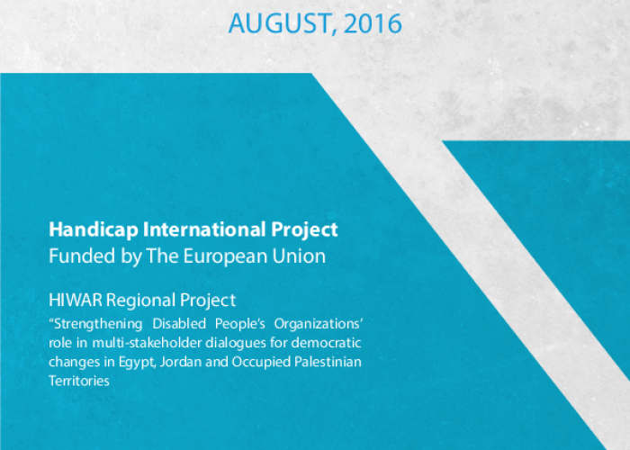 Lessons Learned and Good Practices Report  PDF file screenshot
