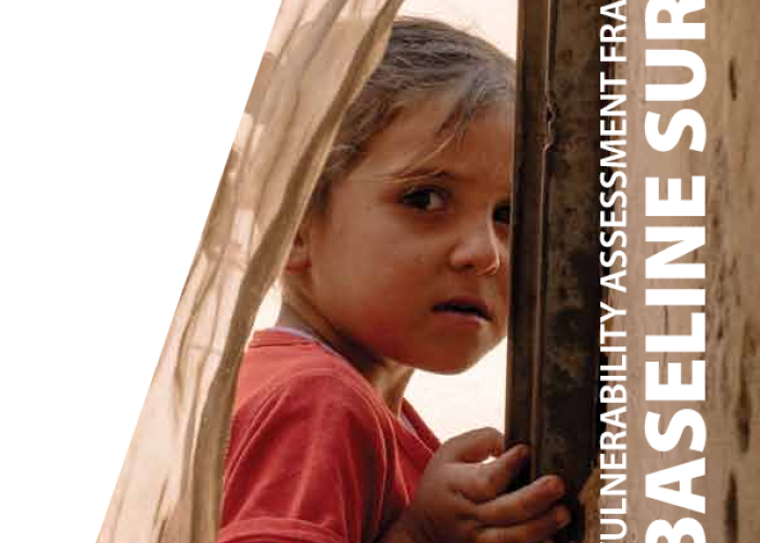 Vulnerability Assessment Framework Baseline Survey May 2015 PDF file screenshot