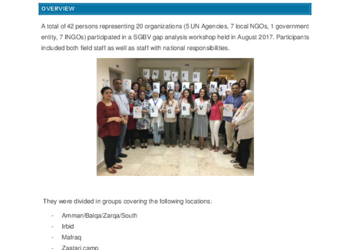 SGBV Sub Working Group Gap Analysis 2017/2018 PDF file screenshot