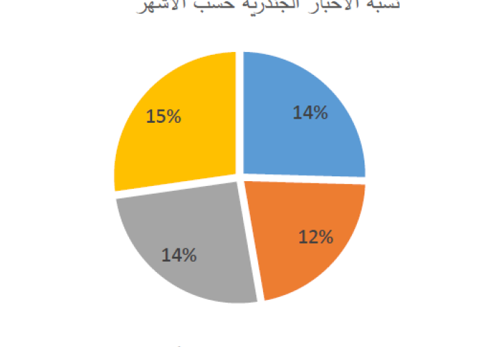 Empowering Civil Society through Media: 2018 Report  PDF file screenshot