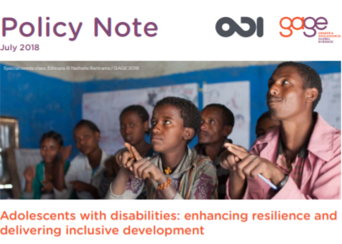 Adolescents with disabilities: enhancing resilience and delivering inclusive development PDF file screenshot