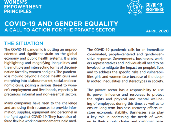 COVID-19 and Gender Equality:  A Call to Action for the Private Sector  PDF file screenshot