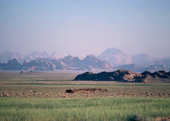 الهجره المناخيه 